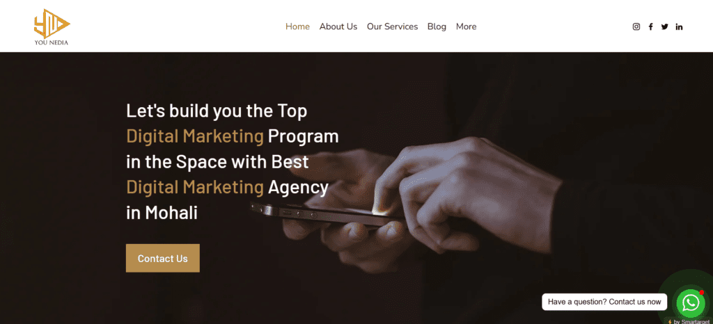 Top 8 Best Digital Marketing Companies in Mohali – 2025 6 image 16